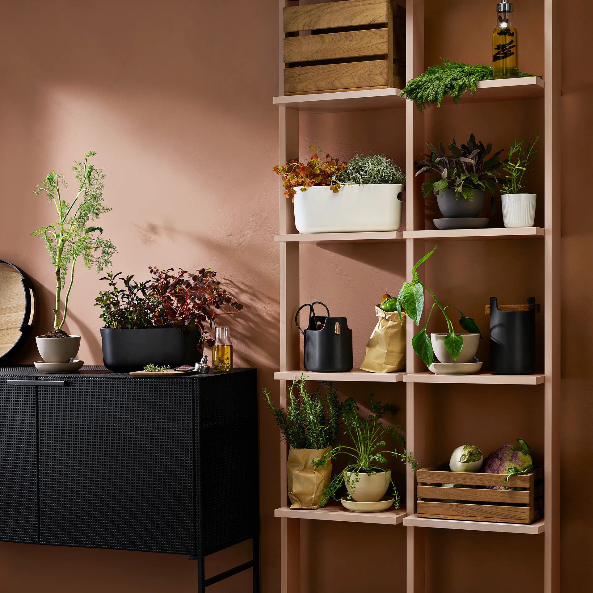 Organisateur d'herbes aromatiques à arrosage automatique Eva Solo, Noir Eva Solo