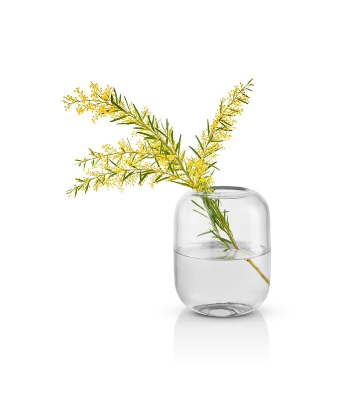 Vase Acorn 16,5 cm, Transparent Eva Solo