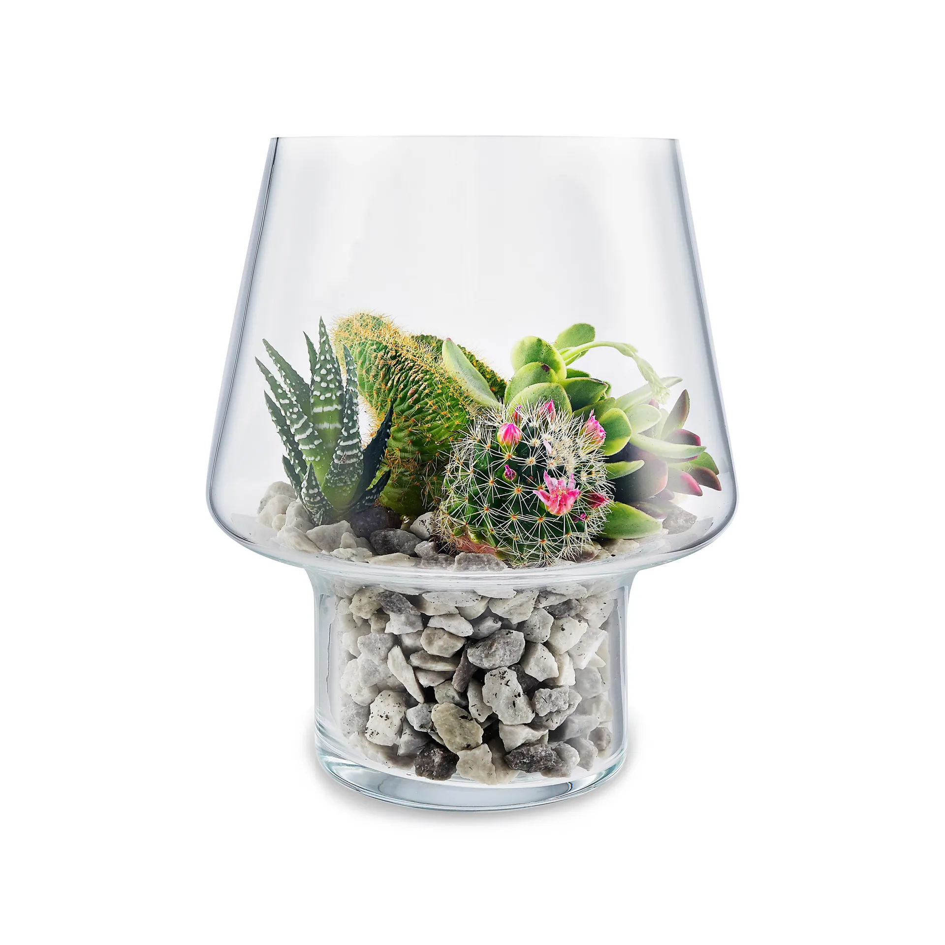 Vase en verre Eva Solo pour succulents, Ø15 cm Eva Solo