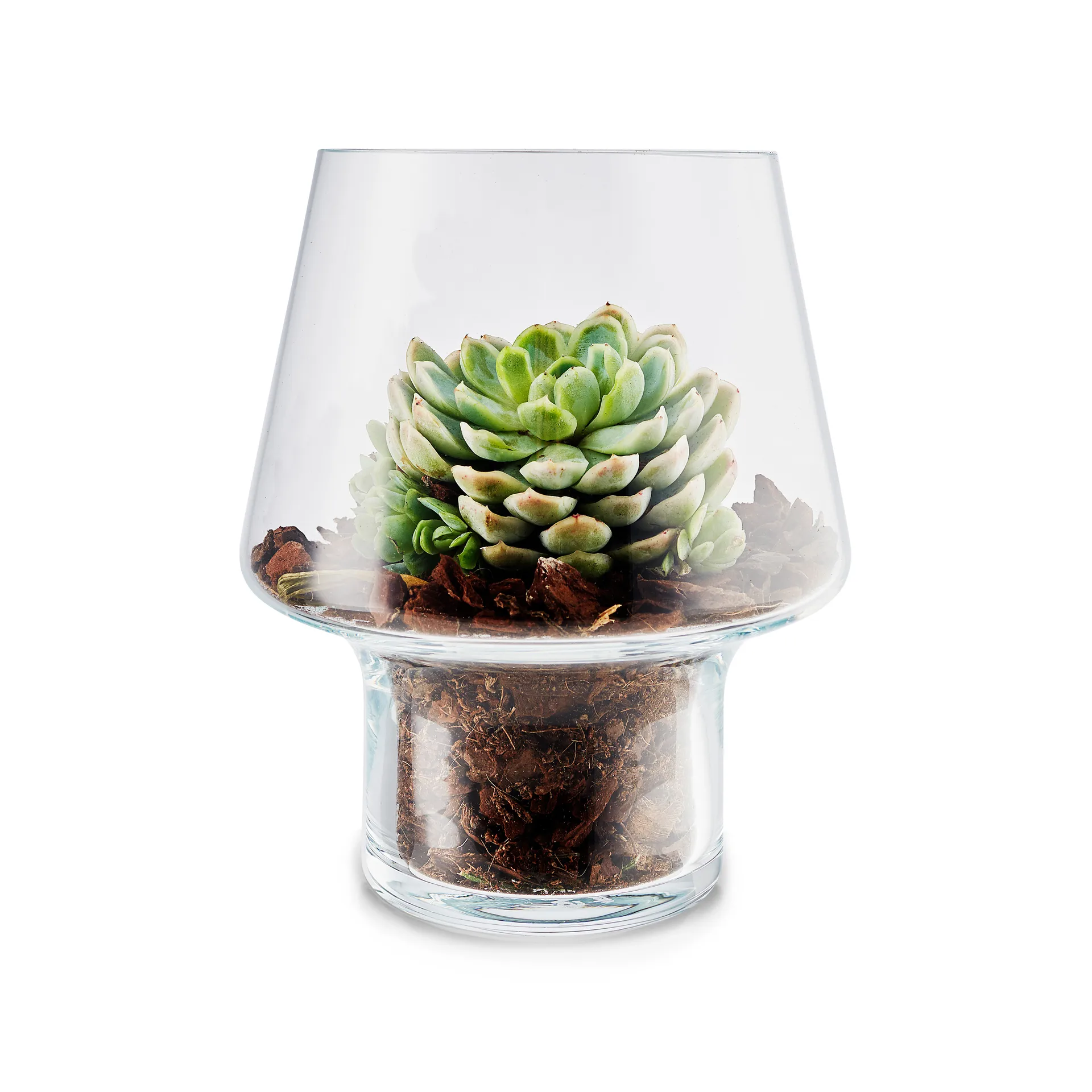 Vase en verre Eva Solo pour succulents, Ø15 cm Eva Solo
