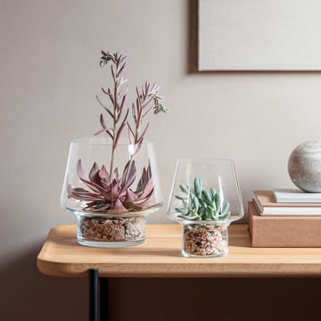 Vase en verre Eva Solo pour succulents - Ø15 cm - Eva Solo