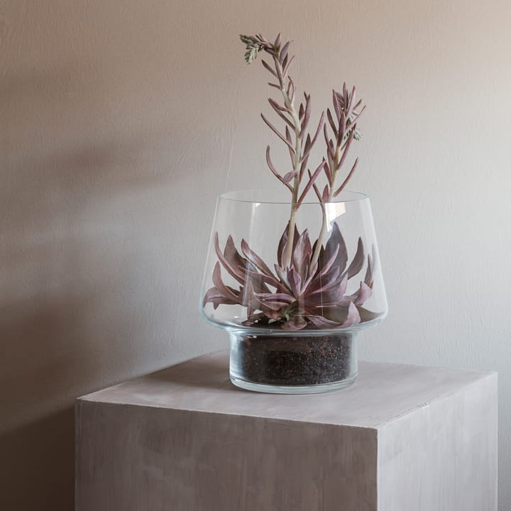 Vase en verre Eva Solo pour succulents - Ø21 cm - Eva Solo