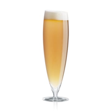 Verres à bière Eva Solo lot de 6 - grand, 50 cl - Eva Solo