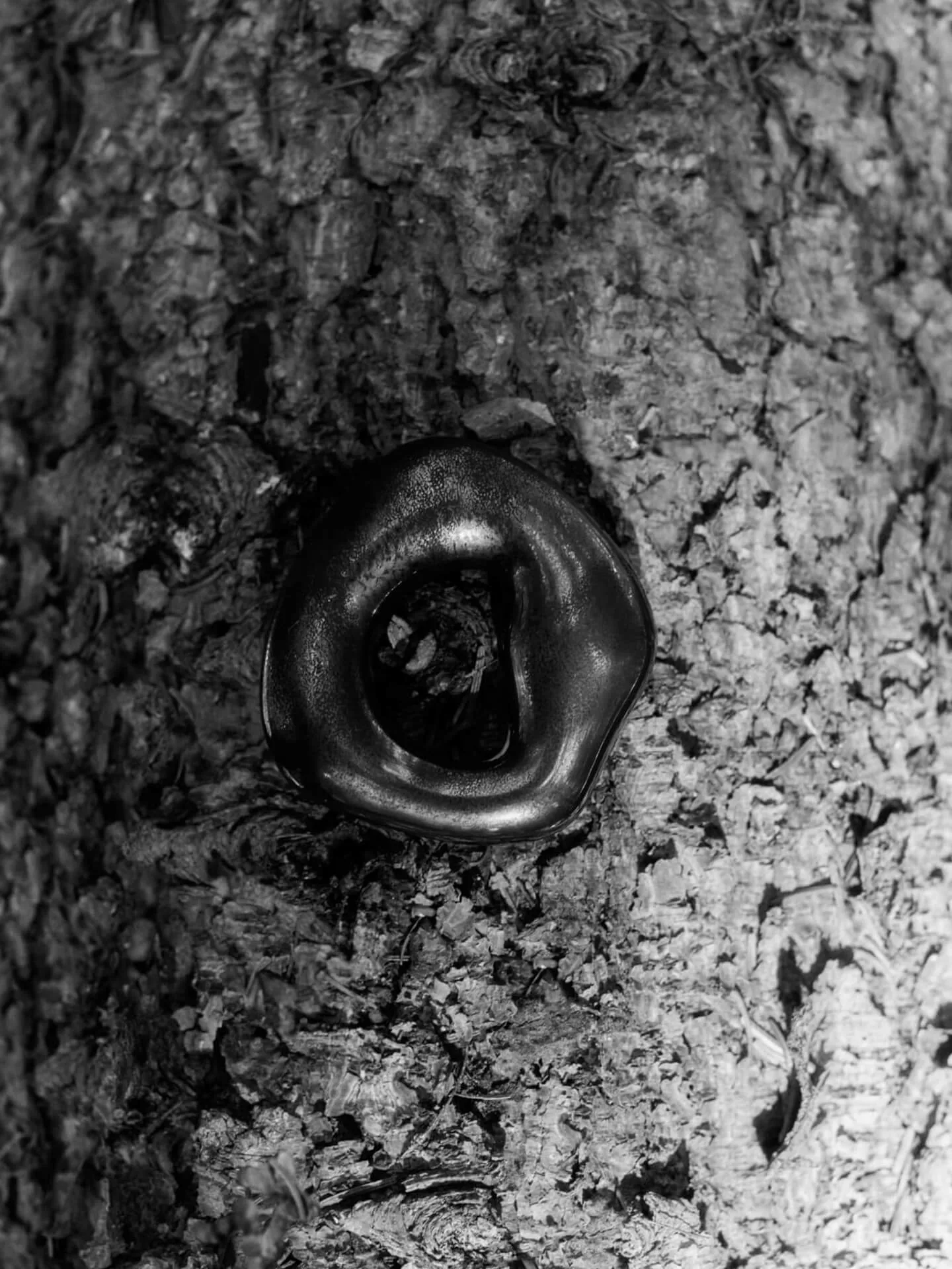 Décoration suspendue Orrith, 2 pièces, Rustic Bronze Ferm Living