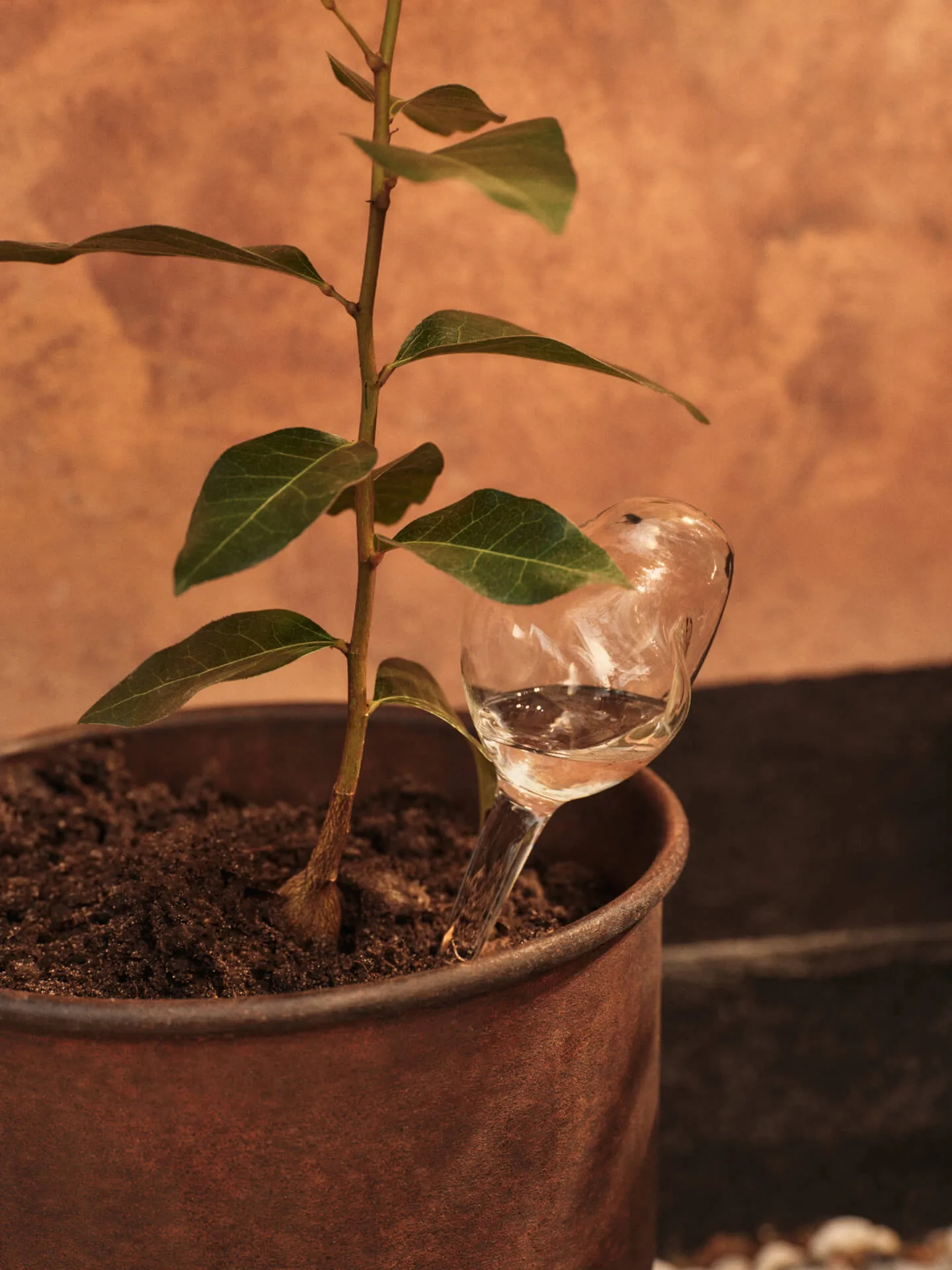 Goutte d’arrosage Mercury 2 pièces, Transparent, 12x18,5 cm Ferm Living