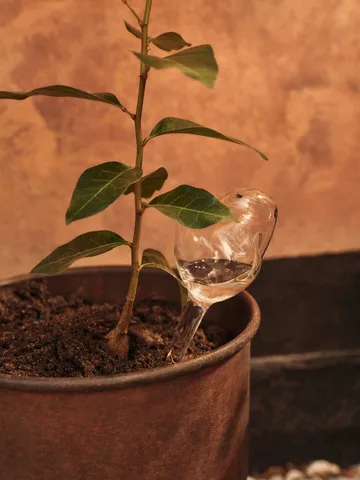 Goutte d’arrosage Mercury 2 pièces - Transparent, 12x18,5 cm - Ferm Living