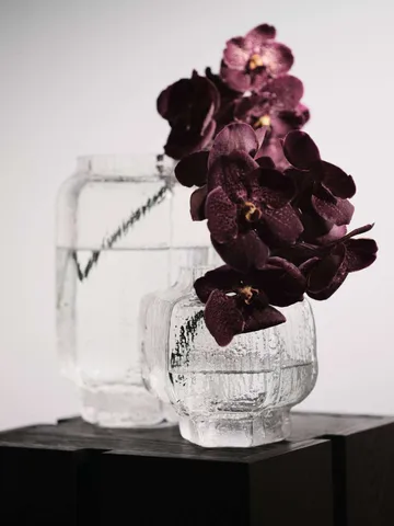 Mokuri vase - Transparent, 25 cm - Ferm Living
