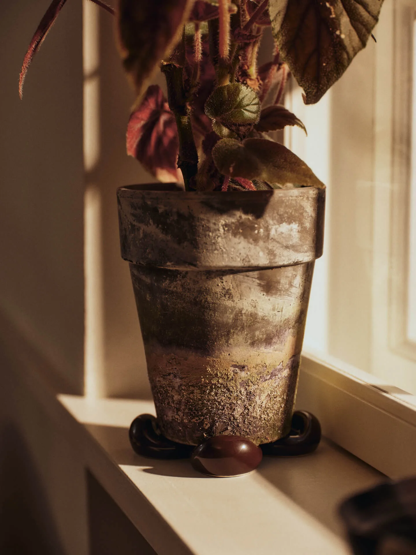 Pieds pour pot de fleurs Nube lot de 4, Carob brown Ferm Living