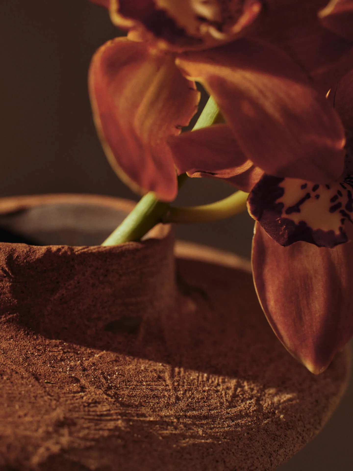 Vase Evio, Burnt umber, Ø25x22 cm Ferm Living