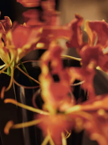 Vase mural Eddy - Acier inoxydable poli miroir - Ferm Living