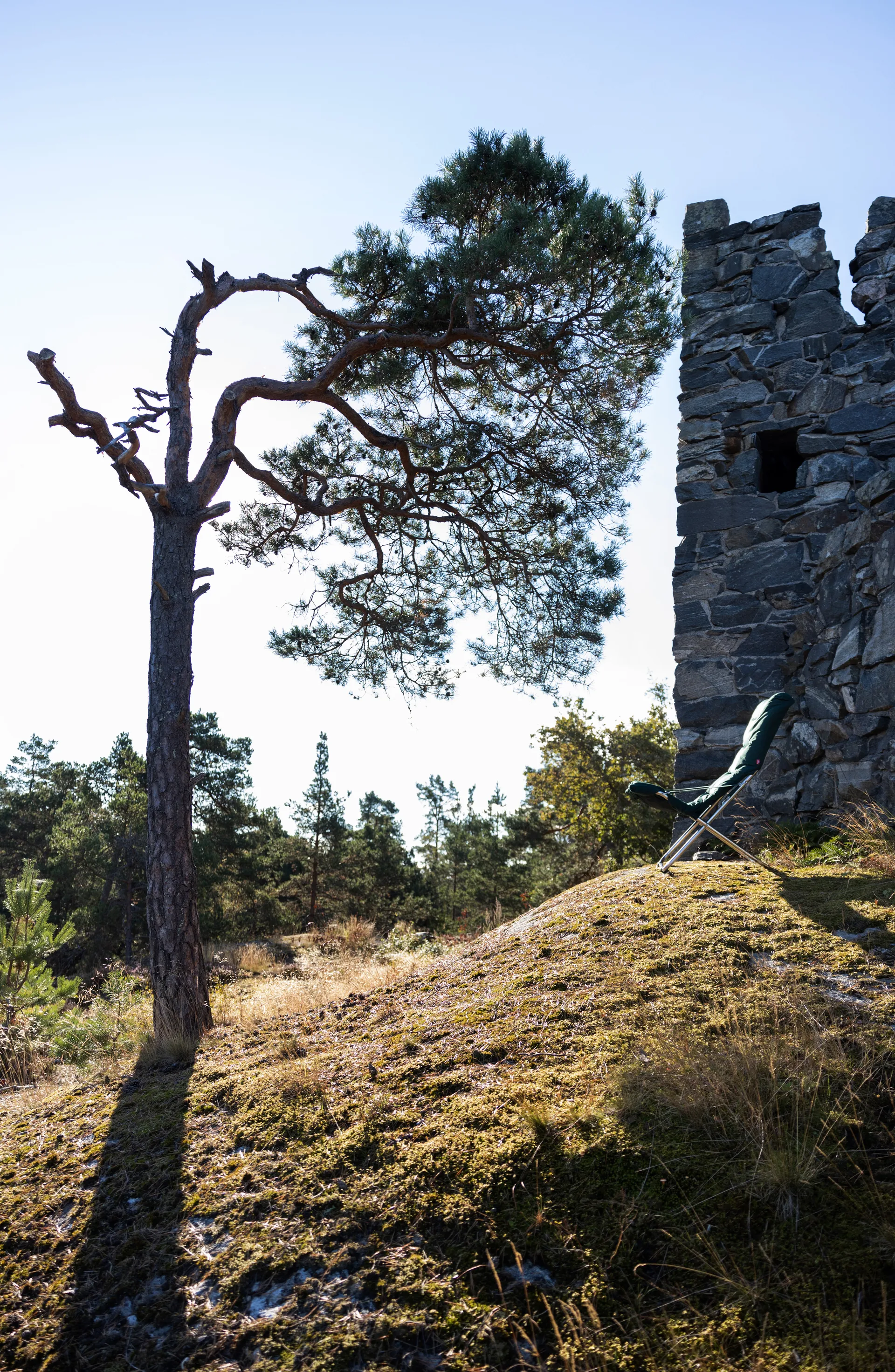 Chaise longue Fiesta Soft, Tissu dark green-support en aluminium Fiam