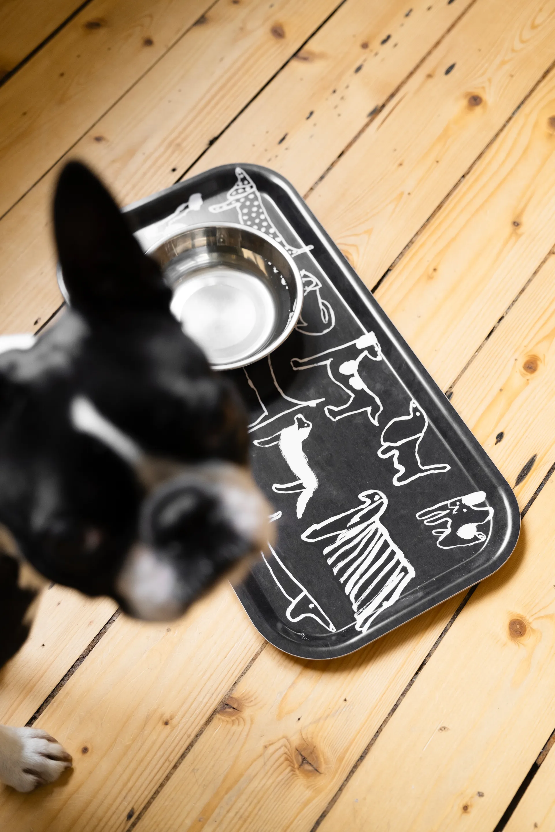 Plateau Dogs 22x43 cm, Black-white Fine Little Day