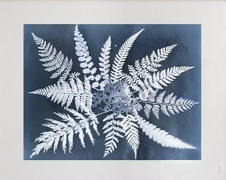 Poster Fern star - 40x50 cm - Fine Little Day