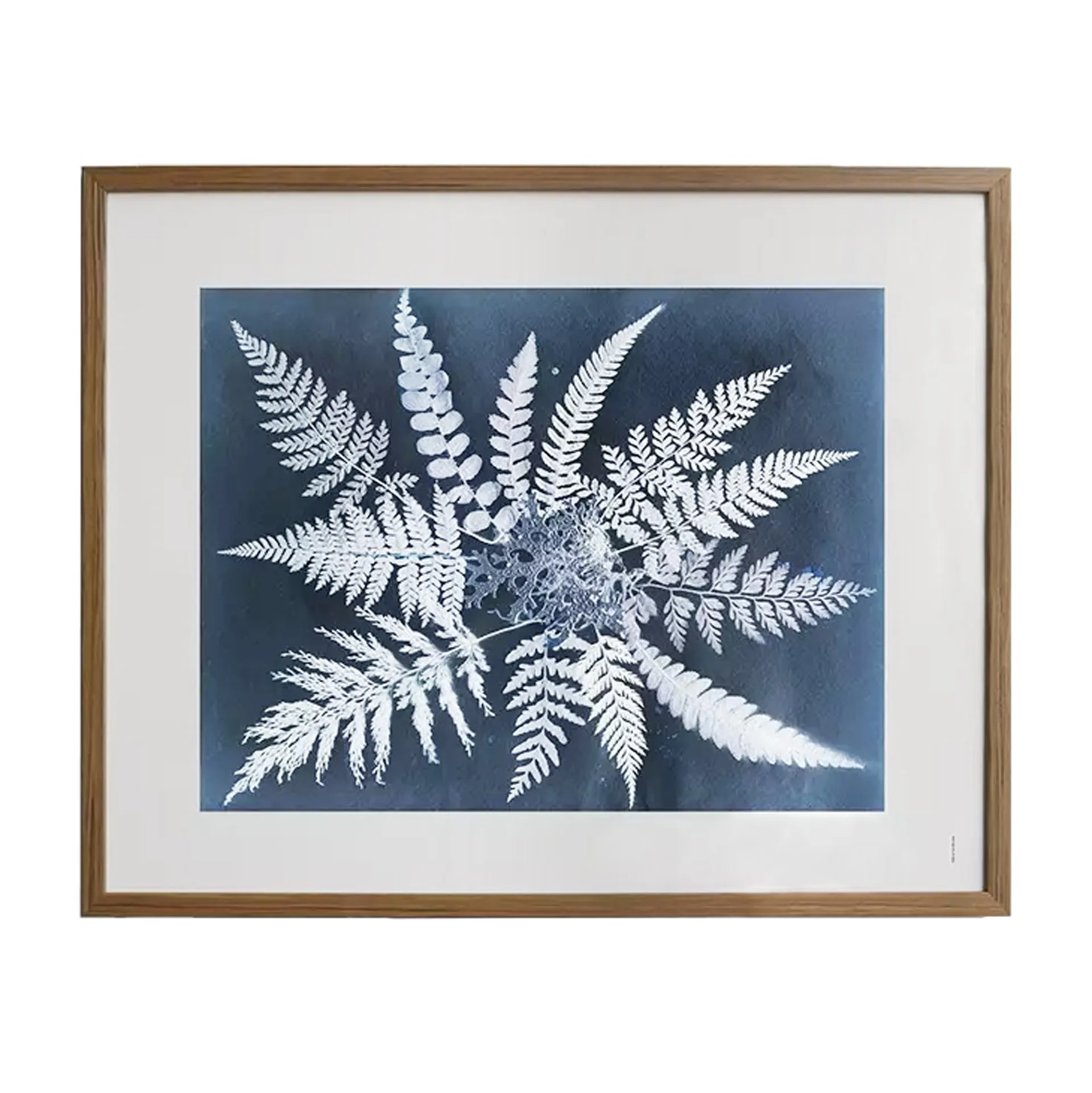 Poster Fern star, 40x50 cm Fine Little Day