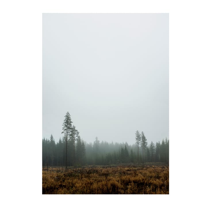 Poster Skog - 70x100 cm - Fine Little Day