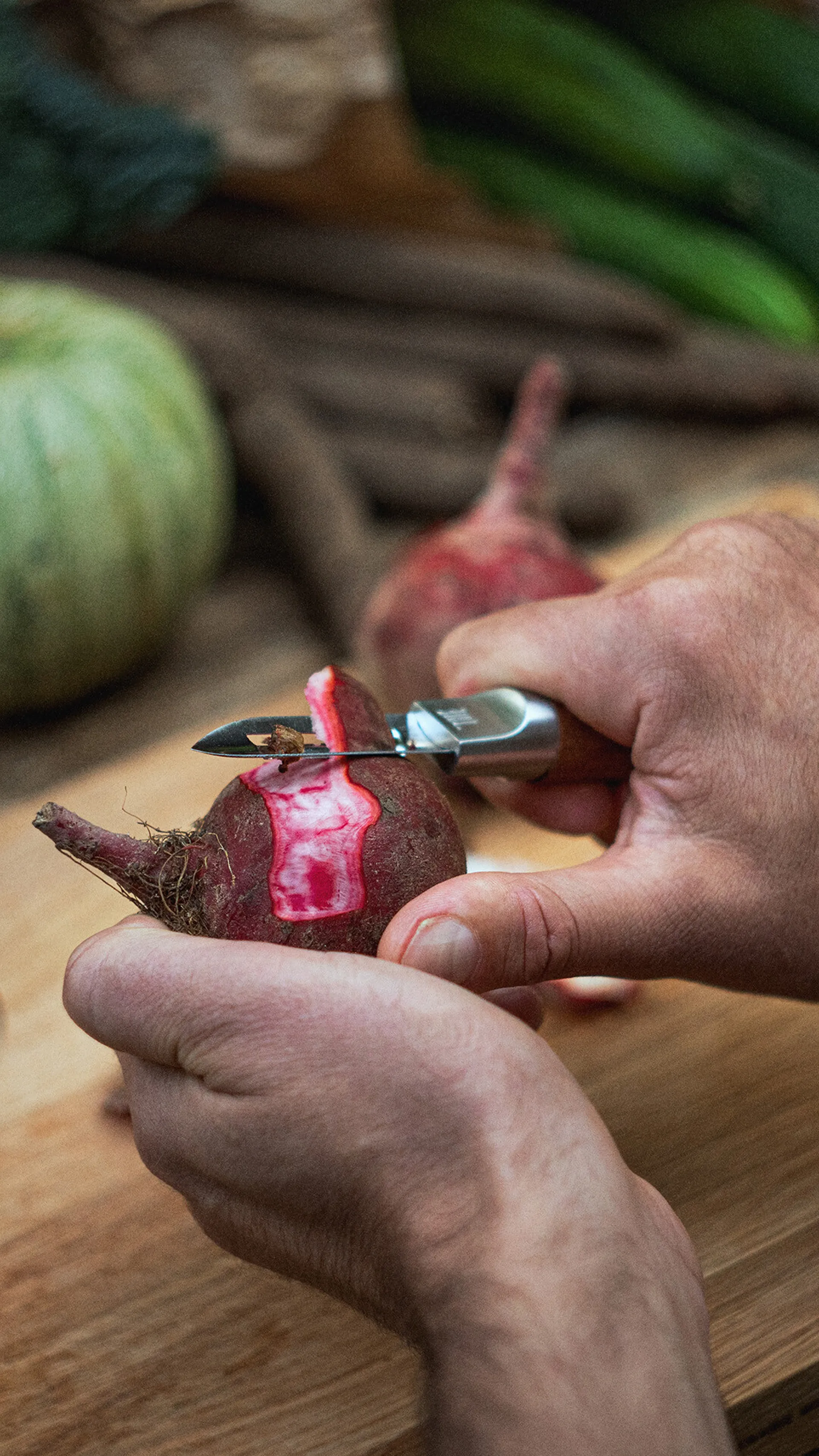 Épluche-patates Norden, Acier inoxydable-bouleau Fiskars