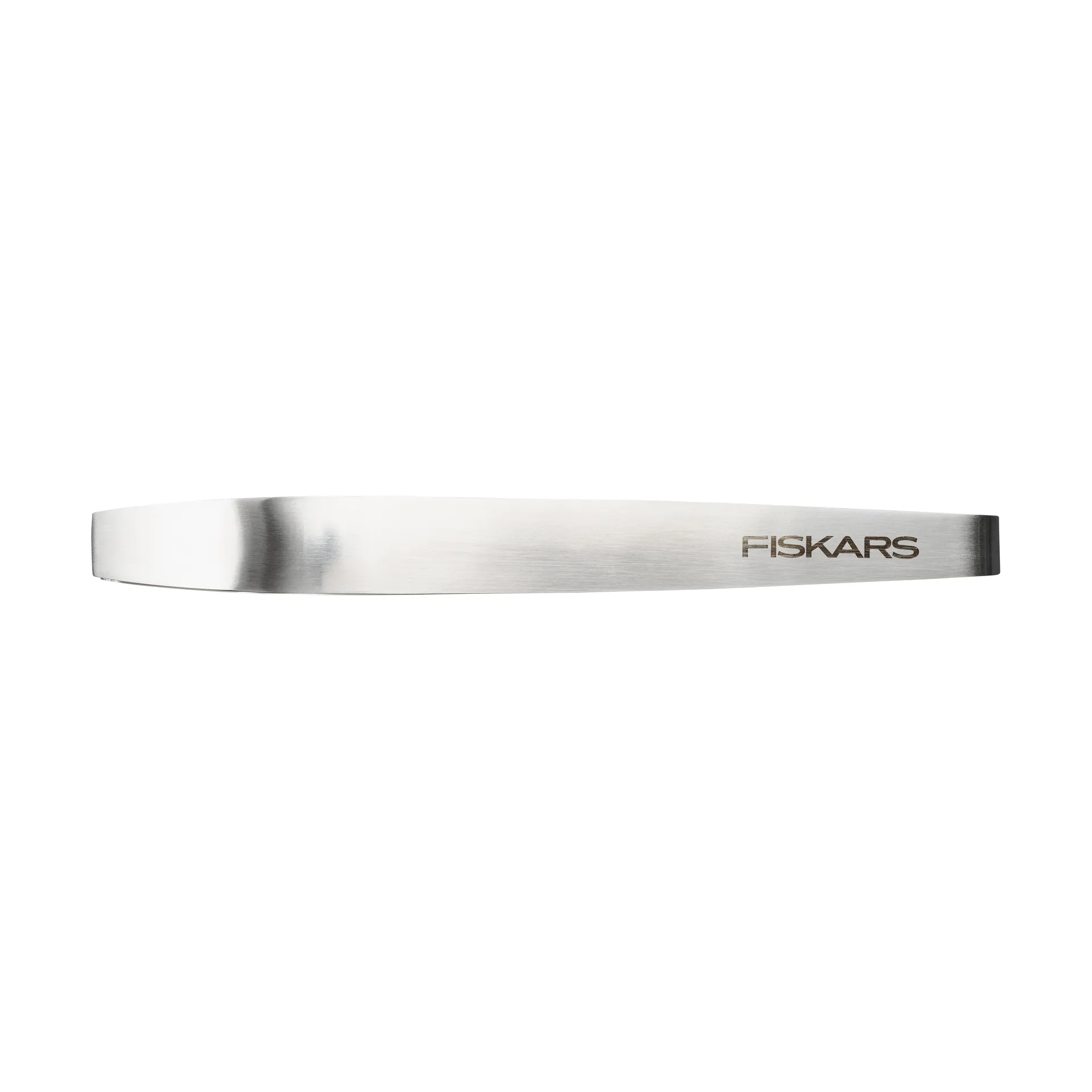 Functional Form pince à poisson, Acier inoxydable, 20 cm Fiskars
