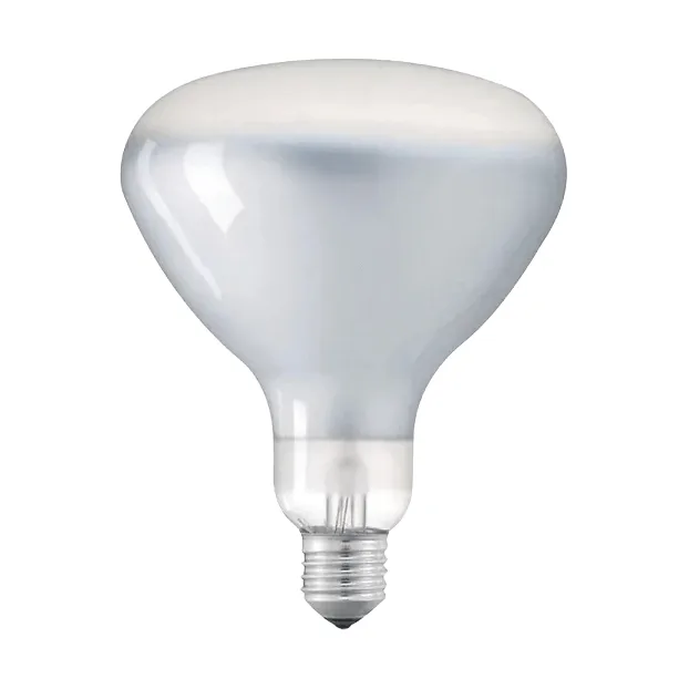Ampoule LED R125 E27, 2700K 1180 lm 12 W Flos