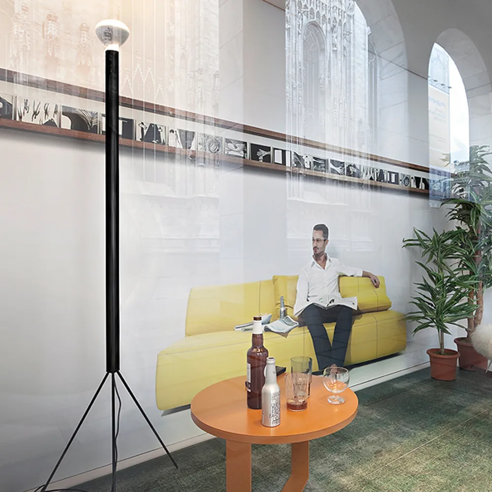 Lampadaire Luminator, Anthracite Flos