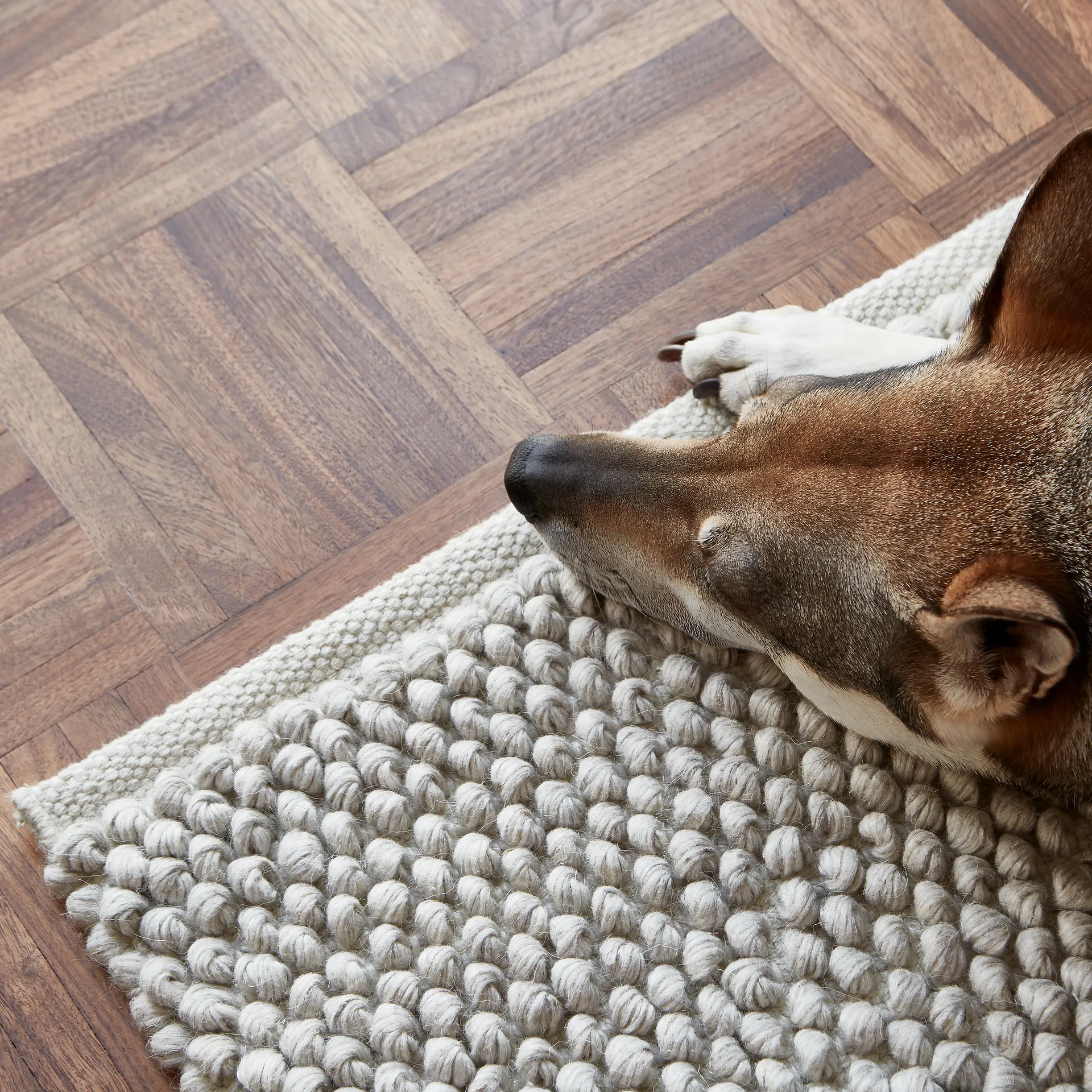 Tapis Loop 200 x 300cm, Ivory Formgatan