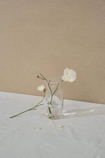 Vase 0405 - Transparent, Ø9,5x20 cm - FRAMA