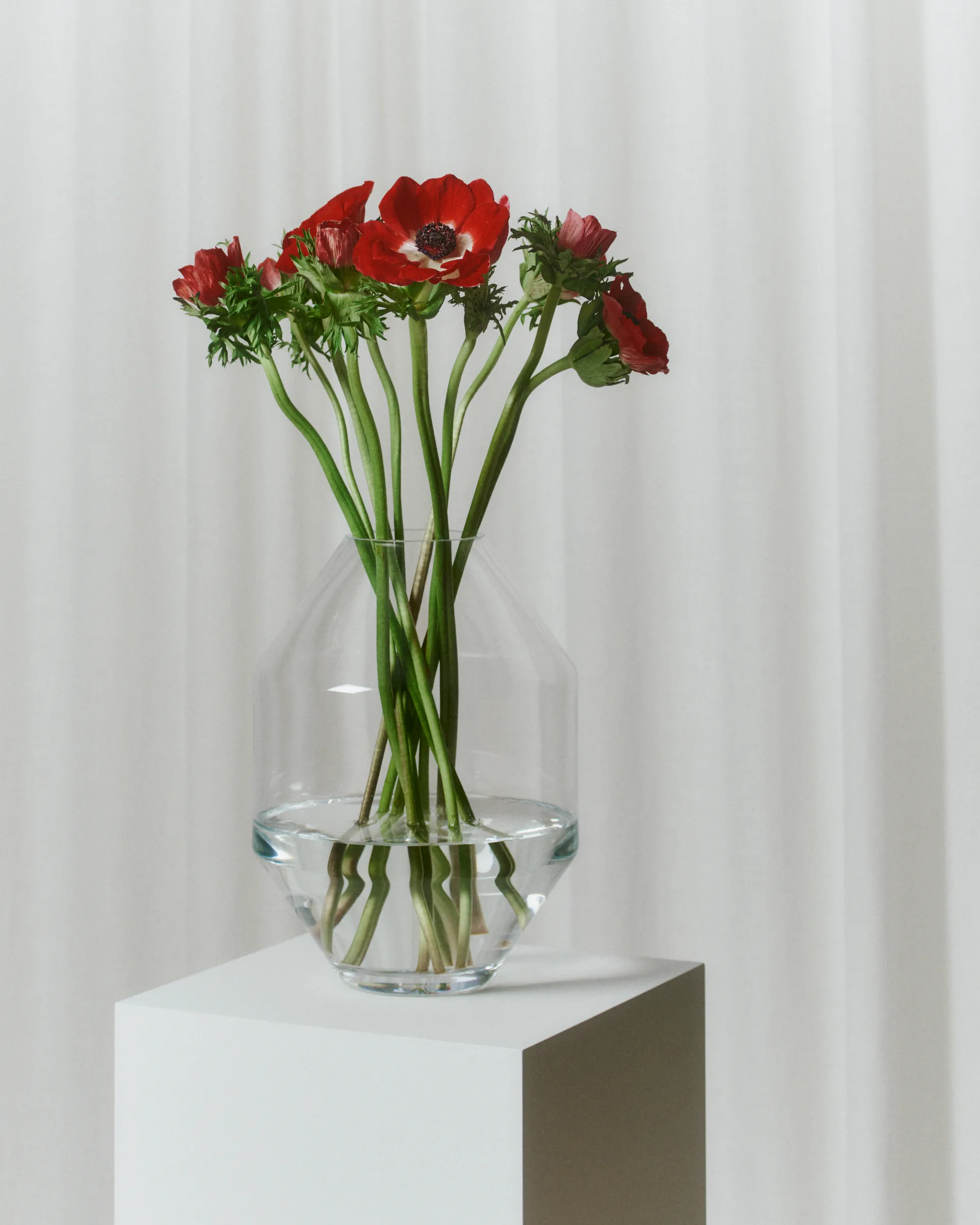 Vase Hydro transparent, 20 cm Fredericia Furniture