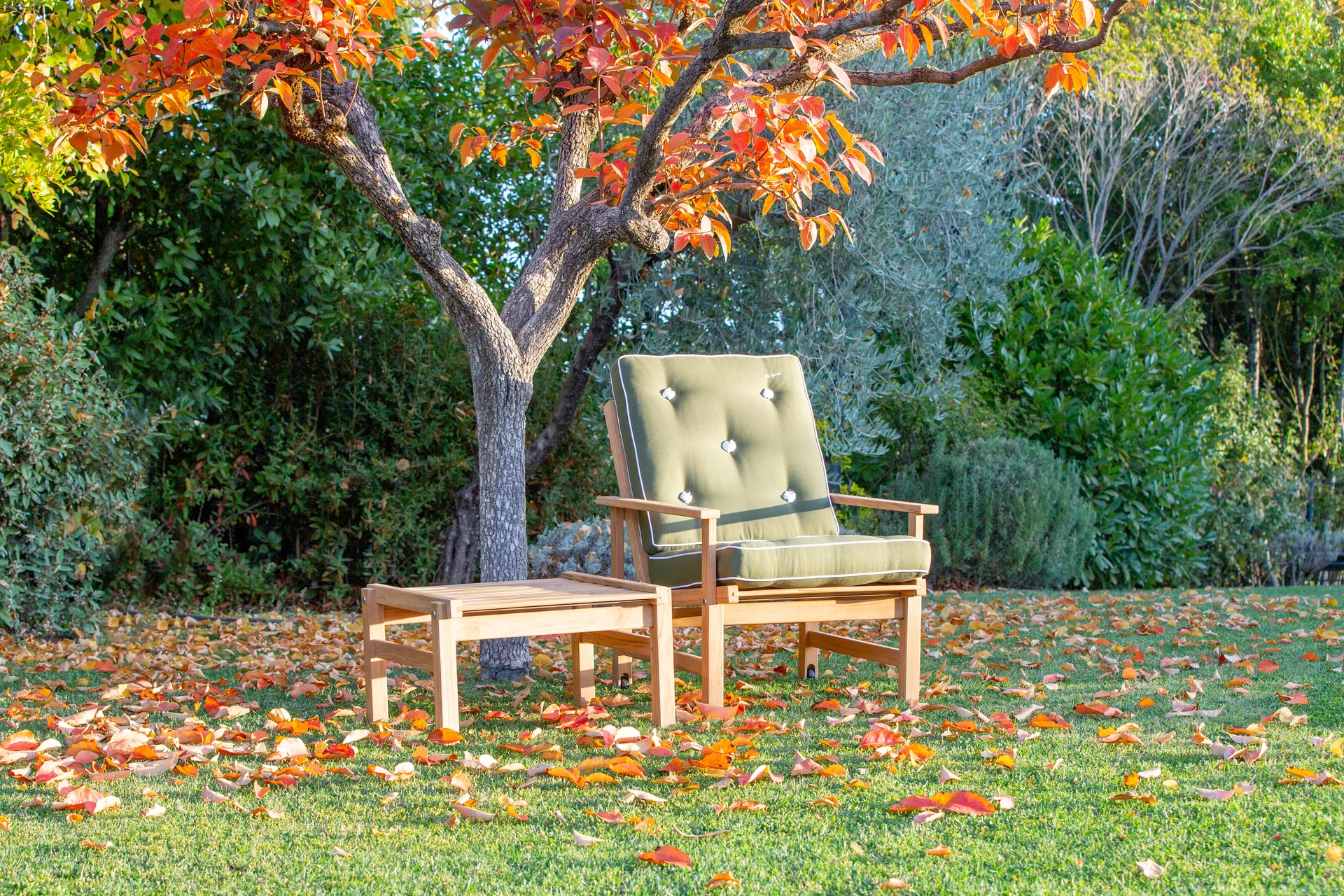 Fauteuil 05, Teck Fri Form