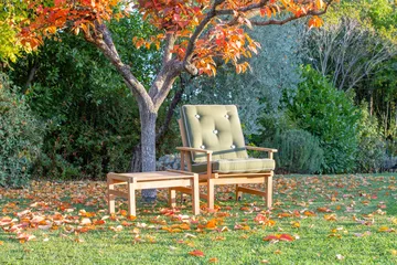 Fauteuil 05 - Teck - Fri Form