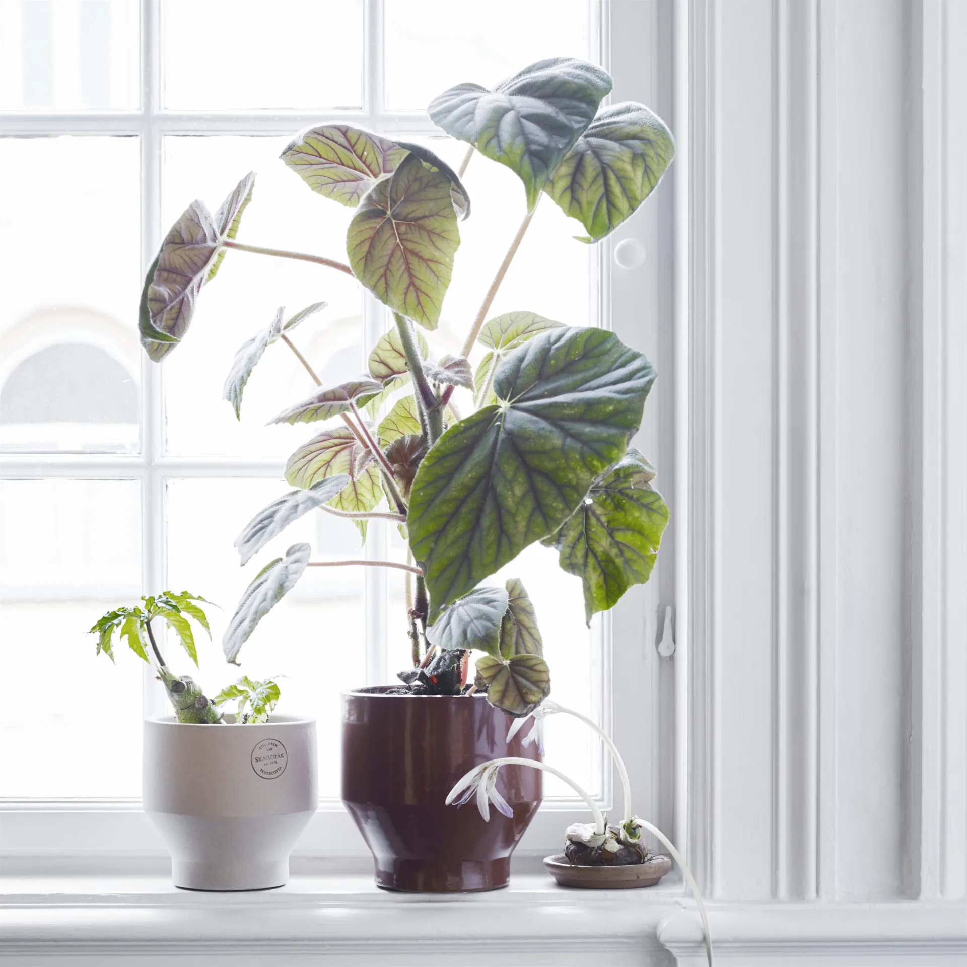 Cache-pot Edge (utilisation en intérieur) Ø18 cm, burned red Fritz Hansen