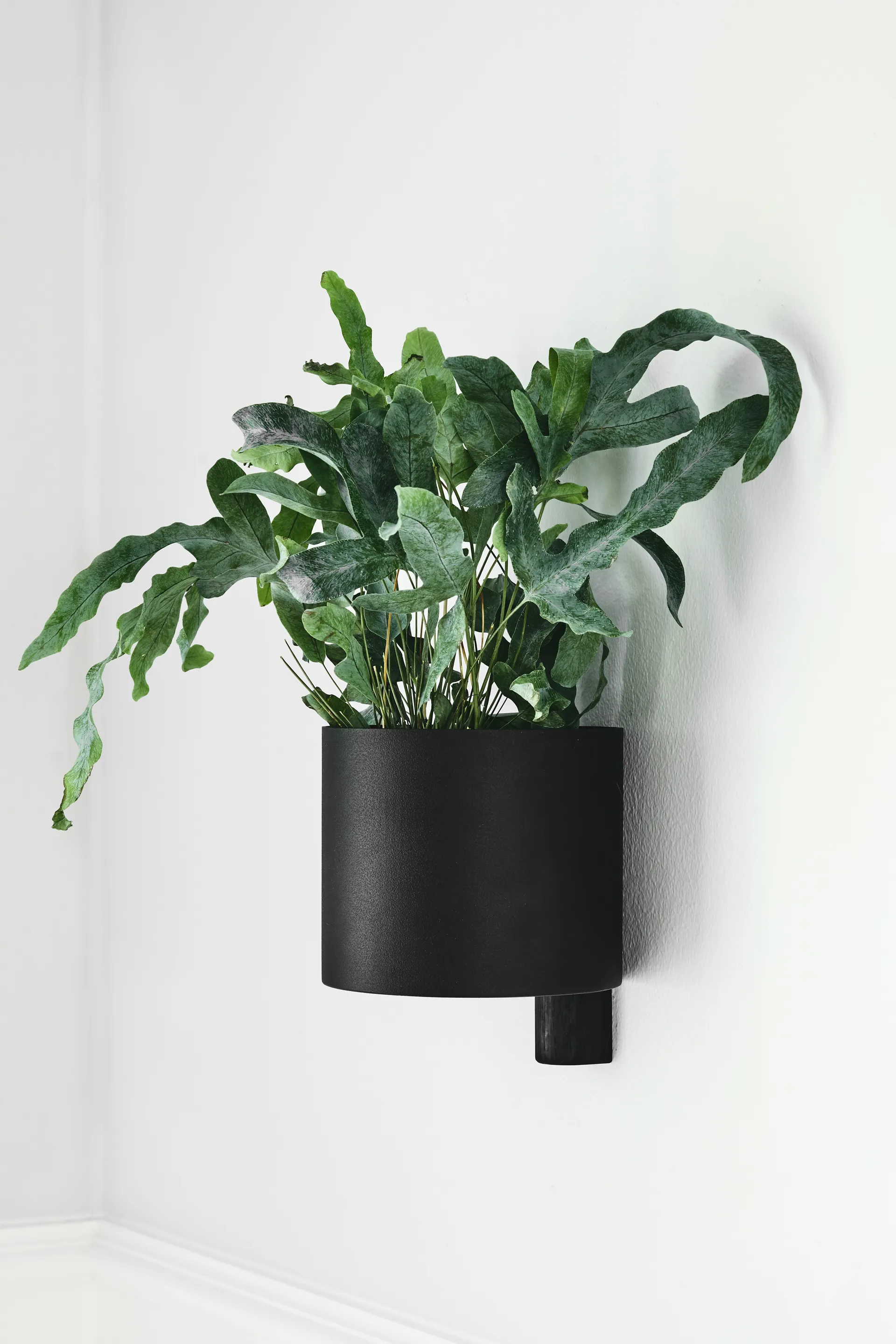 Pot de fleur Kollage Ø14 cm, Noir-Chêne Gejst