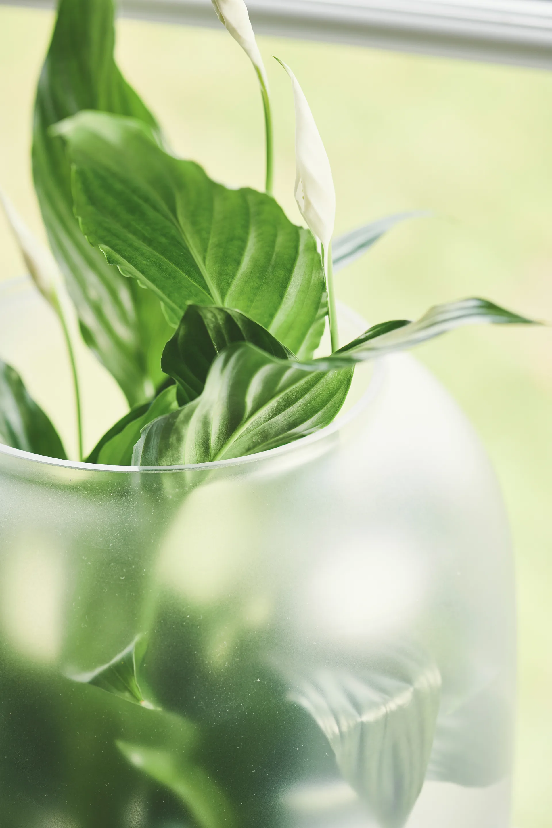 Pot en verre givré Nebl Ø26 cm, Noir Gejst