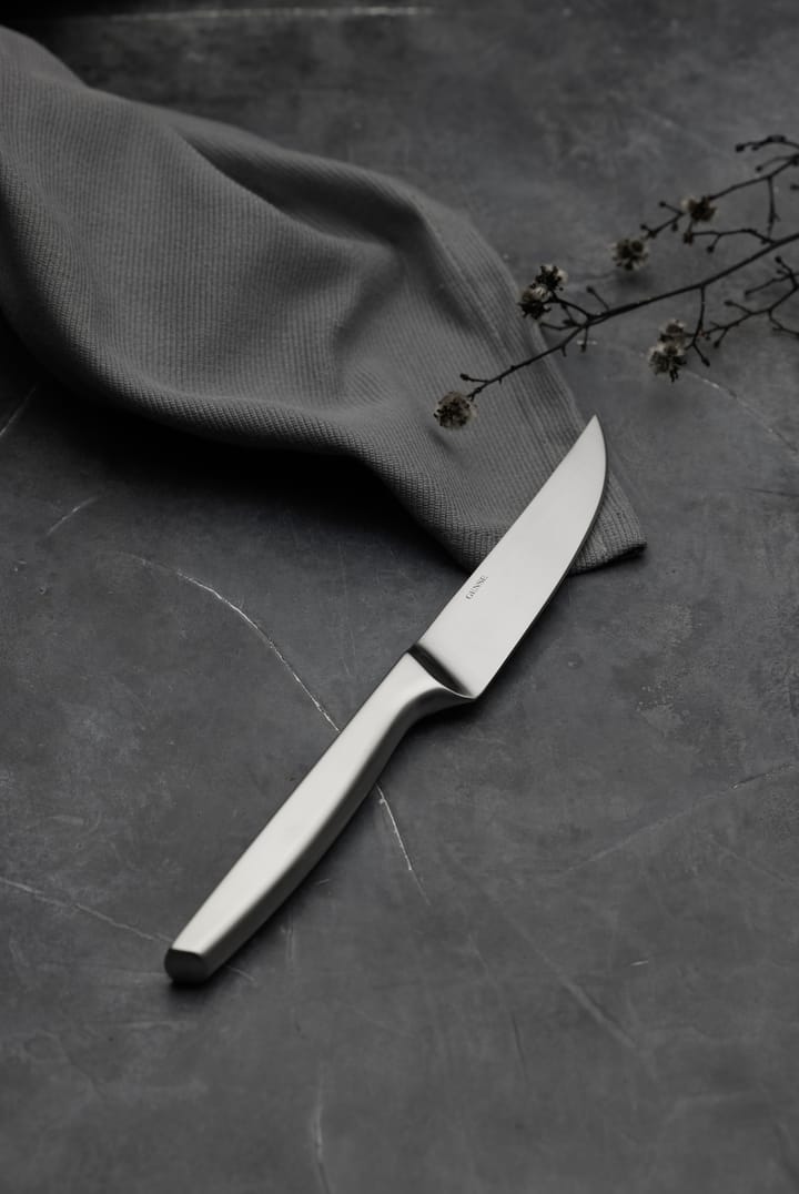 Couteau à viande Norm Lot de 4 - Acier inoxydable mat - Gense