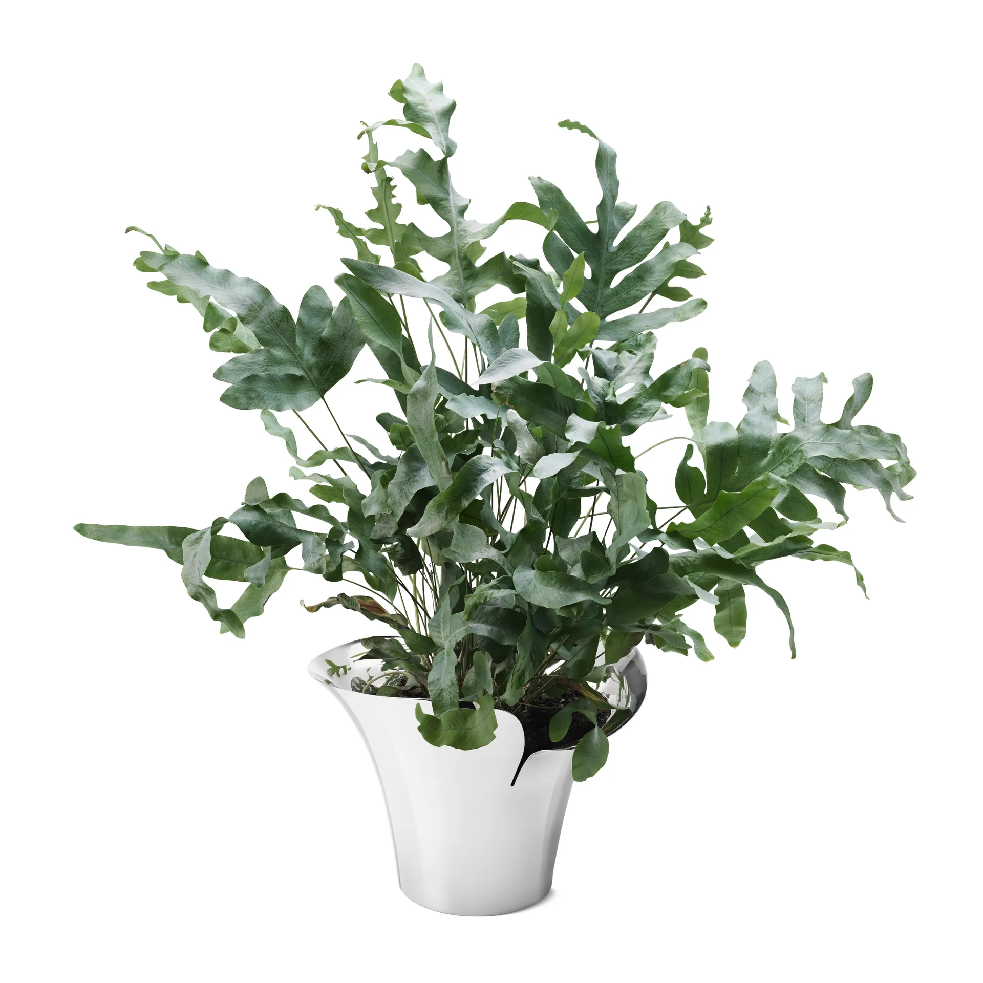 Pot Bloom Botanica, Ø19 cm Georg Jensen