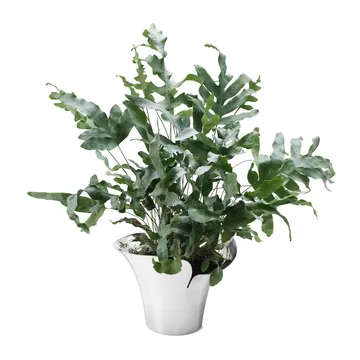 Pot Bloom Botanica - Ø19 cm - Georg Jensen