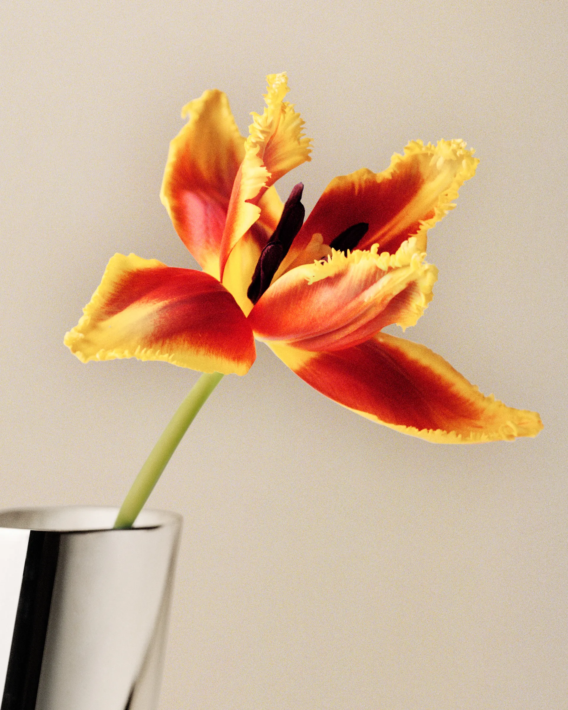 Vase Lituus grand 34,2 cm, Acier inoxydable Georg Jensen