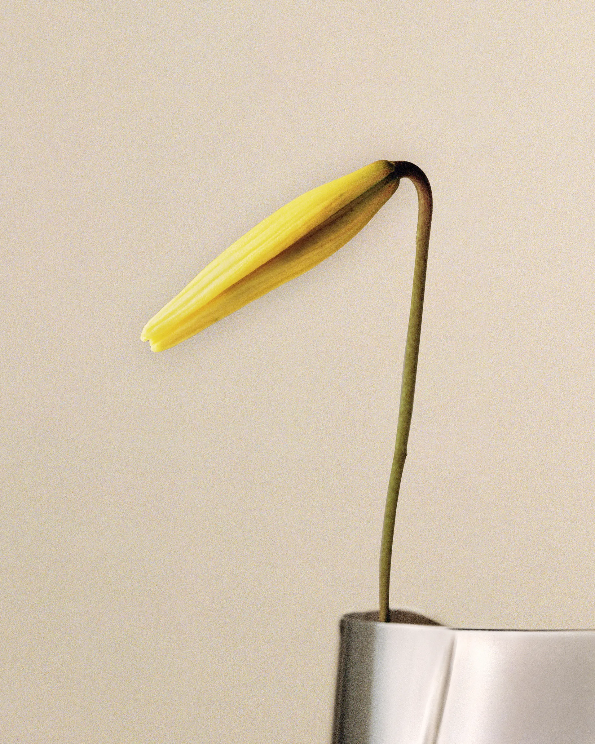 Vase Lituus grand 34,2 cm, Acier inoxydable Georg Jensen