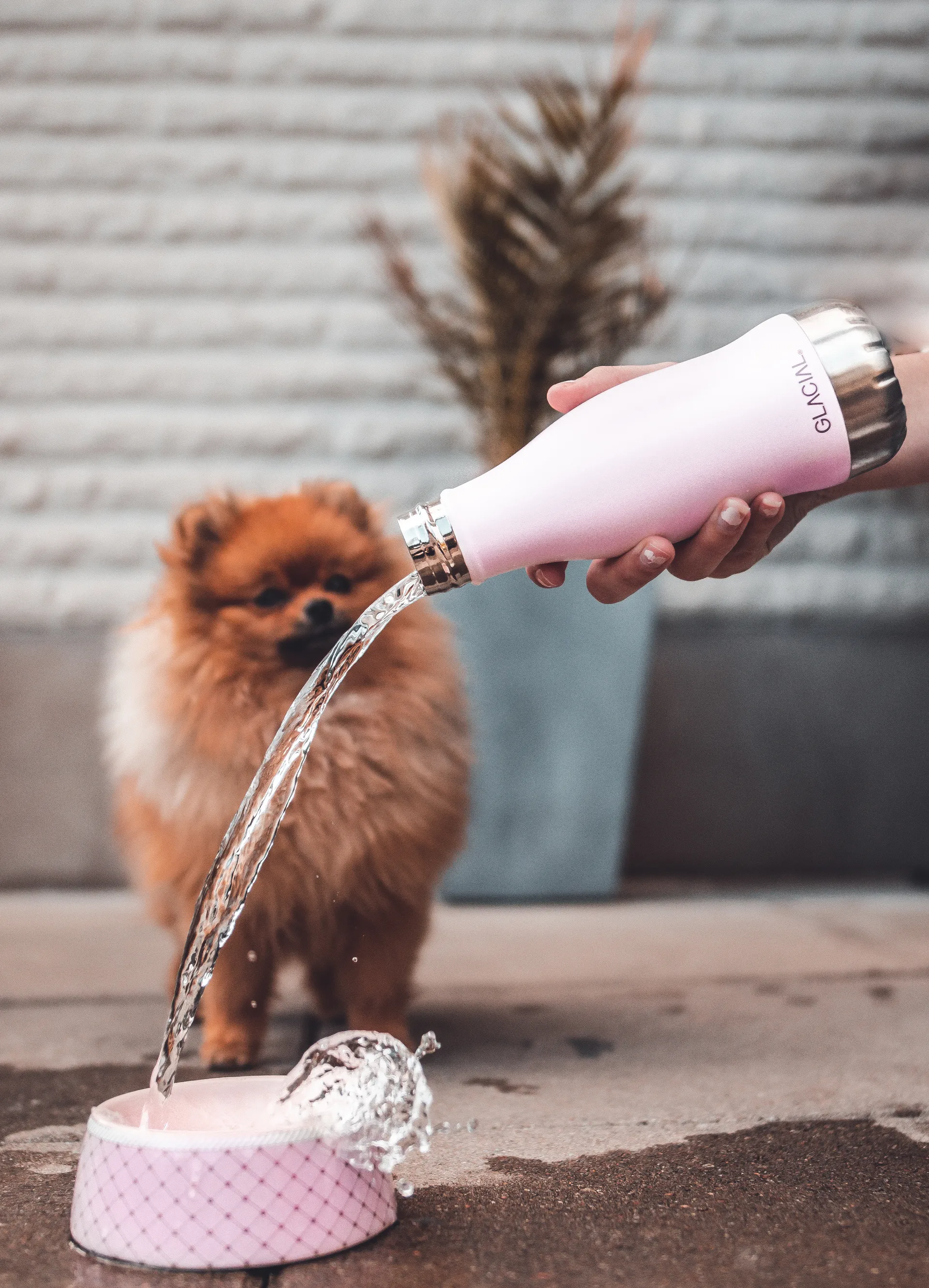 Bouteille pour eau Glacial 280 ml, Matte pink powder Glacial