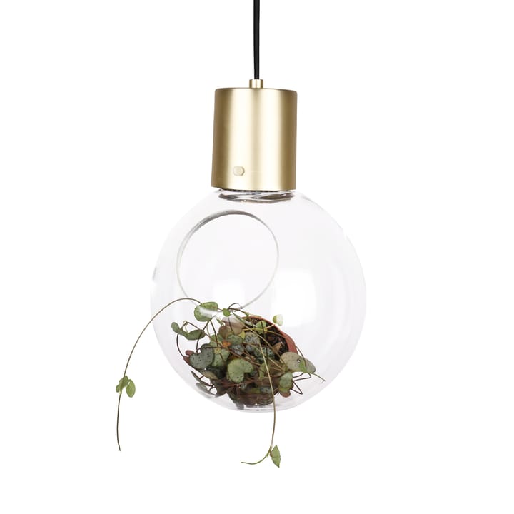 Lampe à suspension Mini Hole - Transparent-laiton - Globen Lighting
