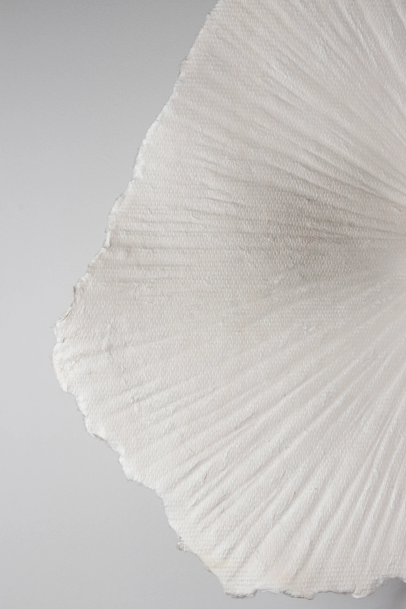 Plafonnier/Applique murale Tropez Ø60 cm, Nature Globen Lighting