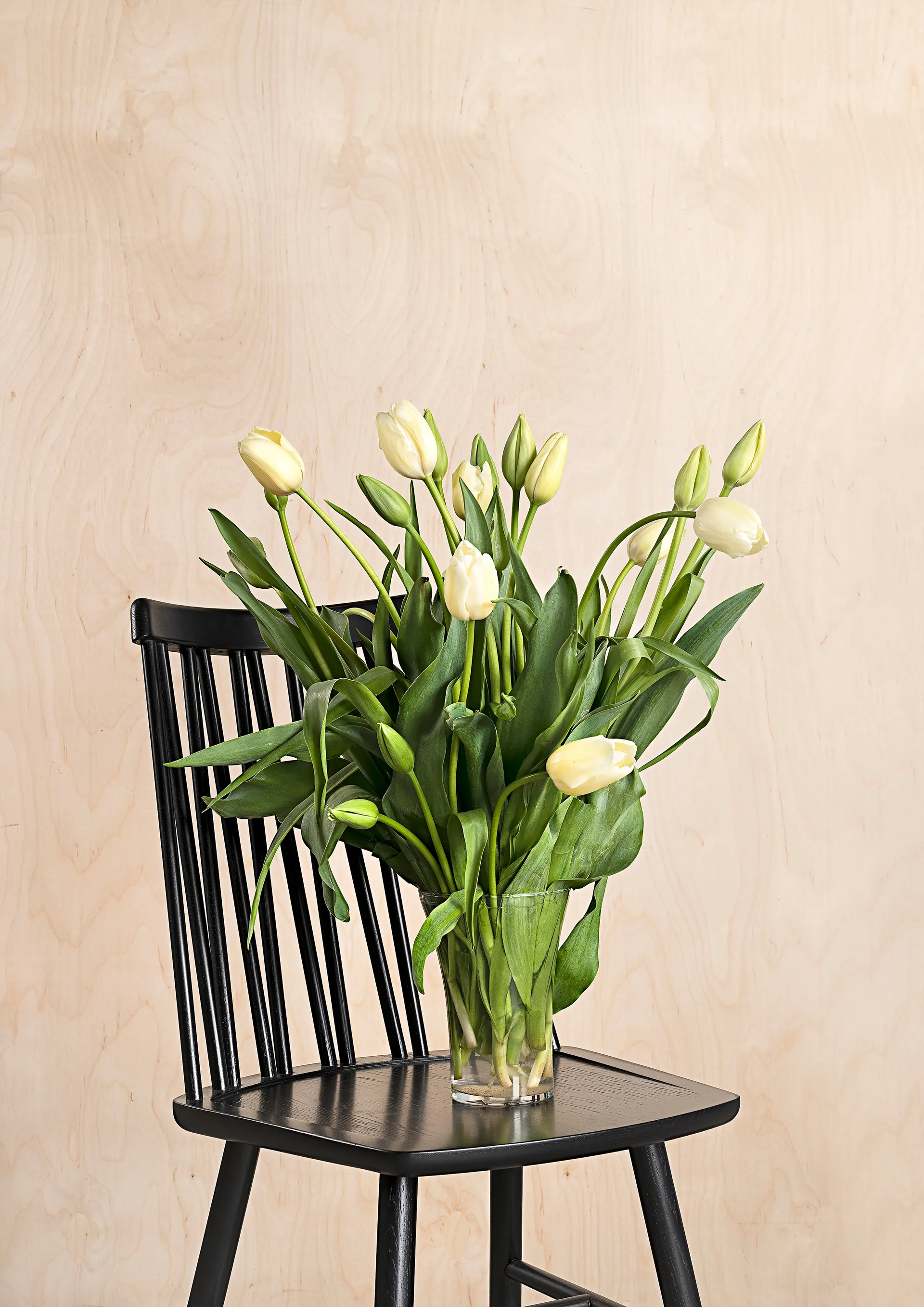 Chaise ZigZag, Frêne lasuré noir Hans K