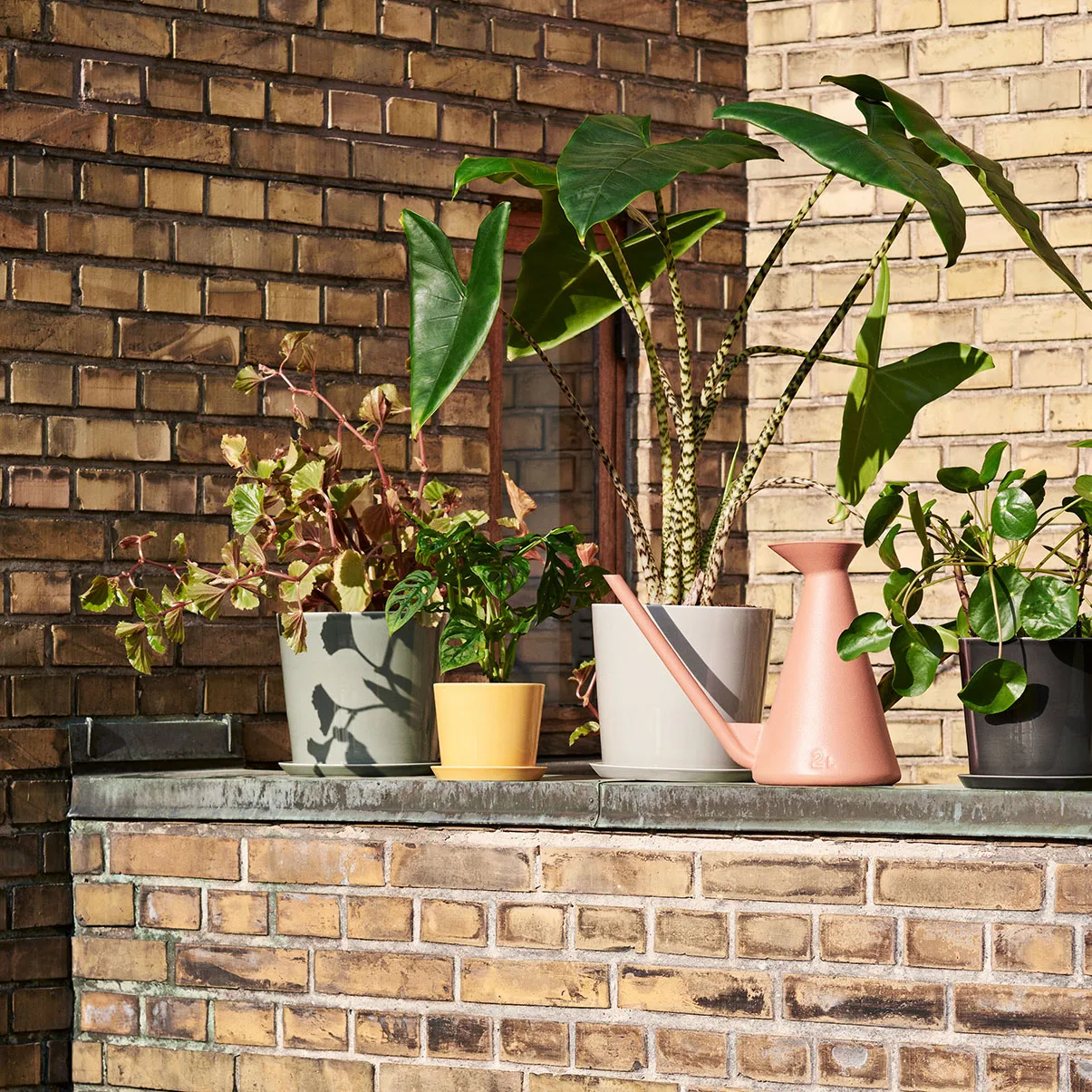 Arrosoir Watering Can 2 l, Terracotta HAY