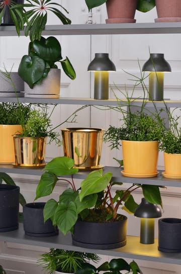 Lampe de table PC Portable - Olive - HAY