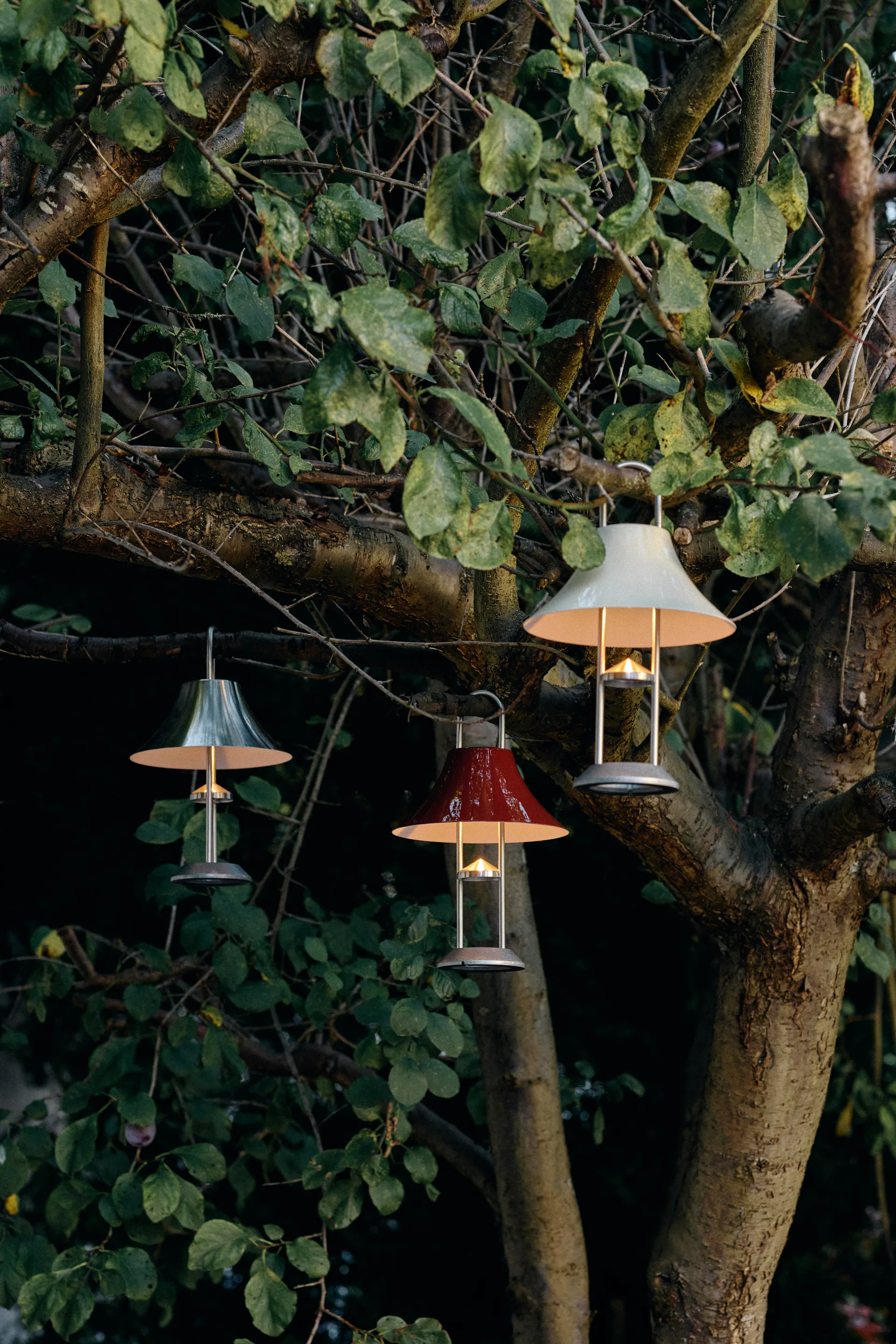 Lampe de table portable Mousqueton 30,5 cm, Brushed stainless steel HAY