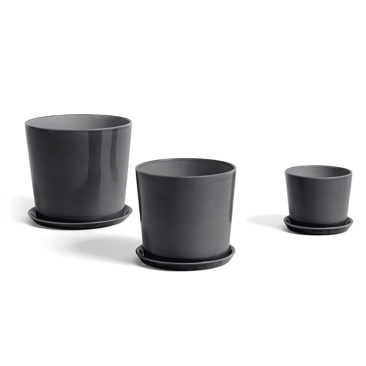 Plat Botanical Family pour pot XL, Anthracite HAY