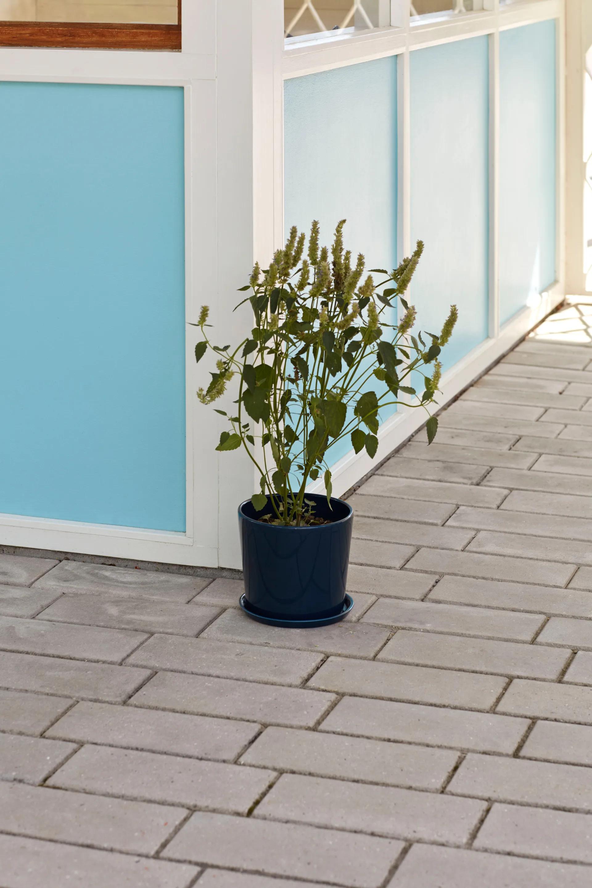 Pot Botanical Family XL Ø22 cm, Dark blue HAY