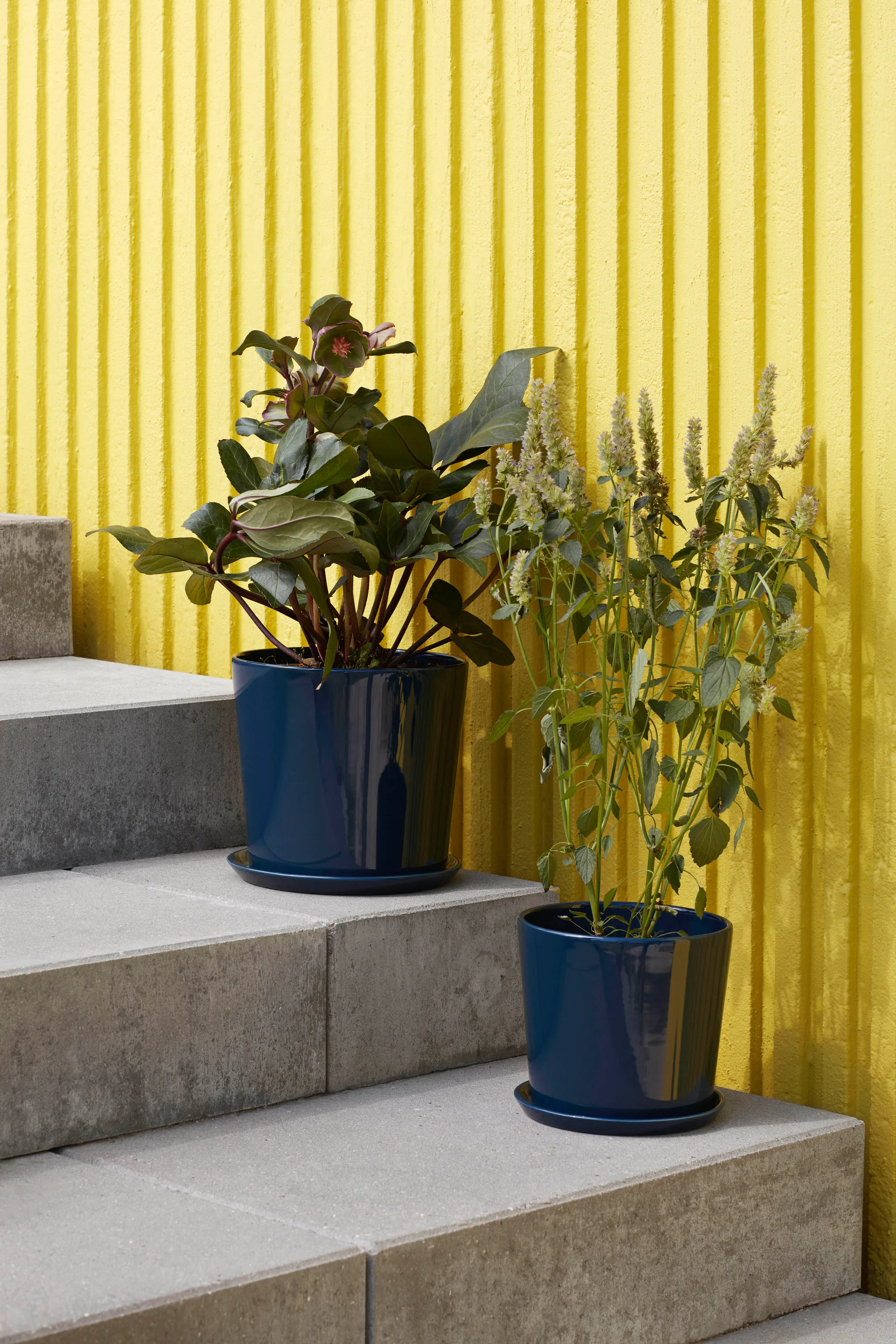 Pot Botanical Family XL Ø22 cm, Dark blue HAY