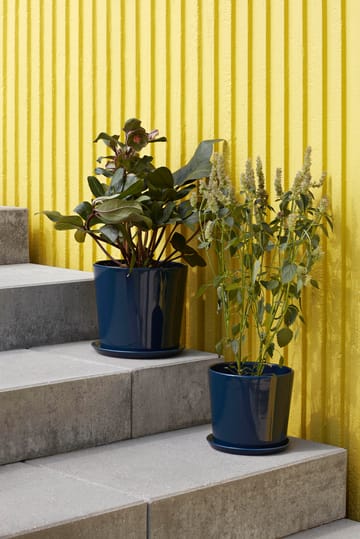 Pot Botanical Family XL Ø22 cm - Dark blue - HAY