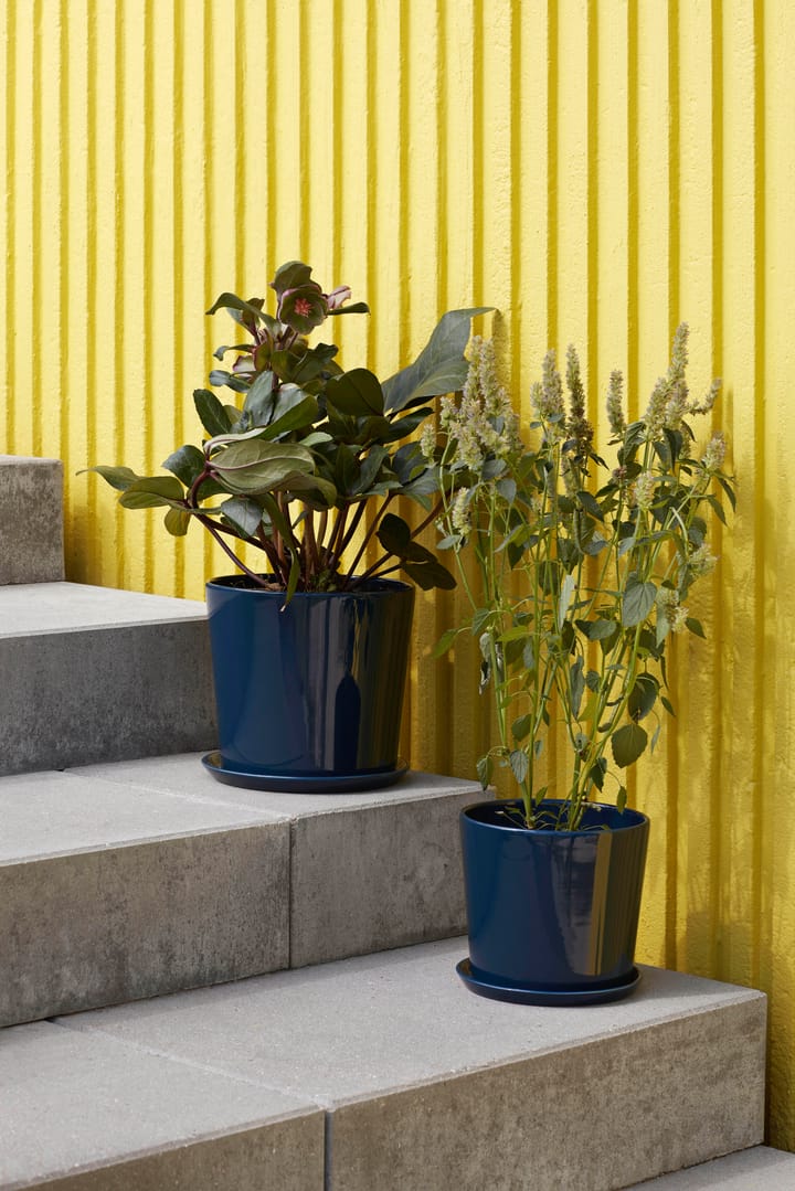 Pot Botanical Family XL Ø22 cm, Dark blue HAY