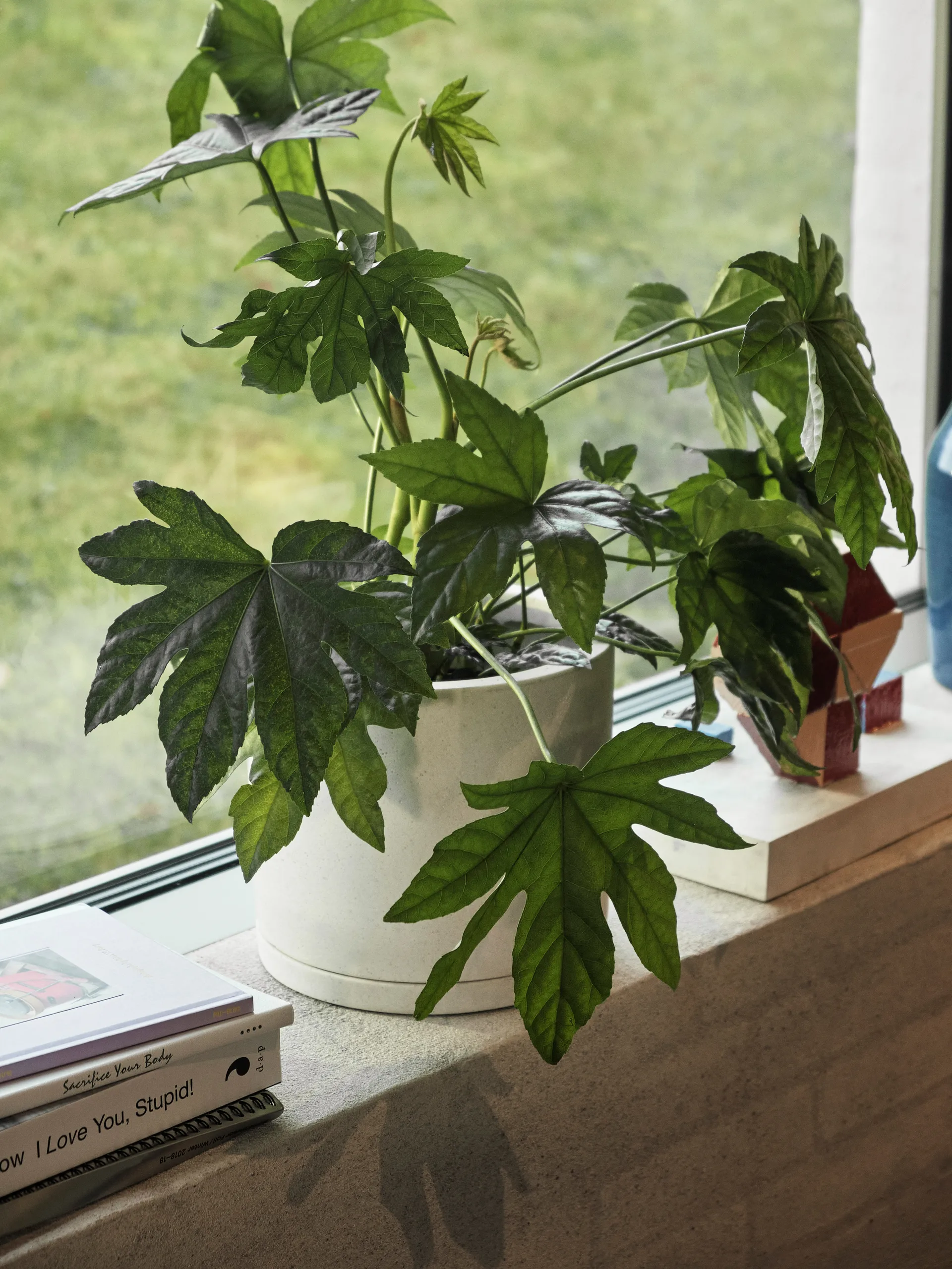 Pot HAY Plant Pot with saucer L Ø19 cm, Blanc HAY