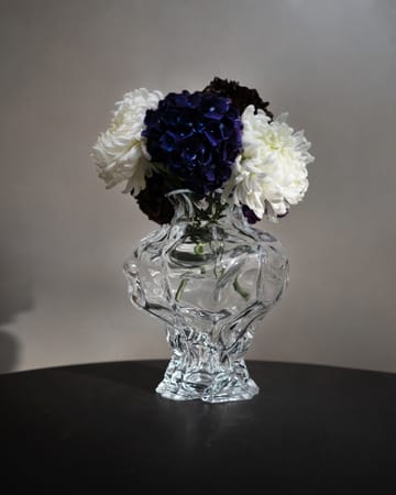 Vase Ammonit 30 cm - Clear - Hein Studio